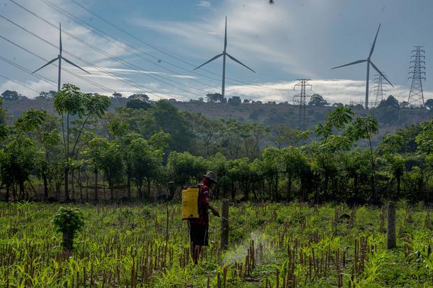 ANTARA FOTO/Hasrul Said/wsj.