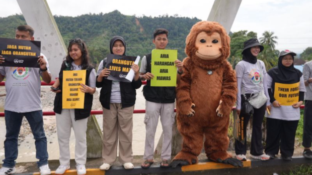 Tim Ekspedisi Hutan Merdeka Soroti Ancaman bagi Orangutan Tapanuli