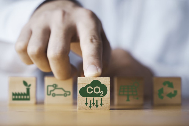 CarbonEthics Asal Indonesia Incar Pasar Kredit Karbon Singapura, Tokyo
