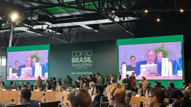 Menuju COP30, Melihat Posisi Indonesia dalam Negosiasi Iklim Global